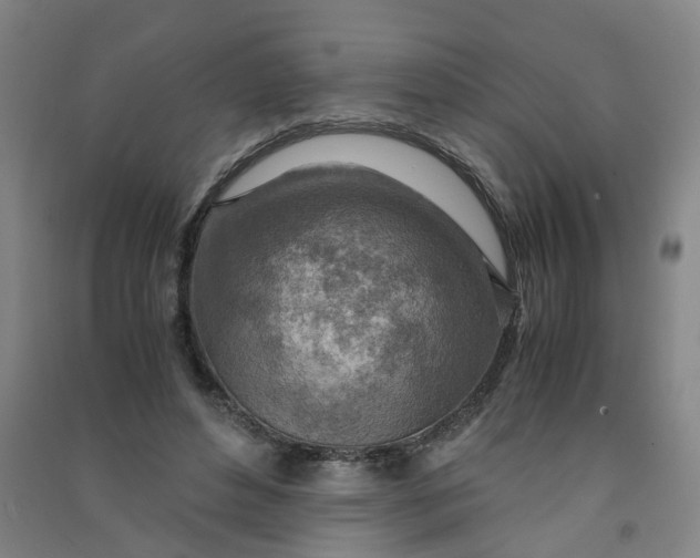 X0000090900496200708201721