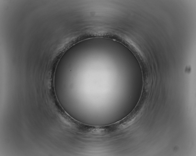 X0000090900497200708201721