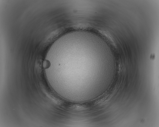 X0000090900498200708201721