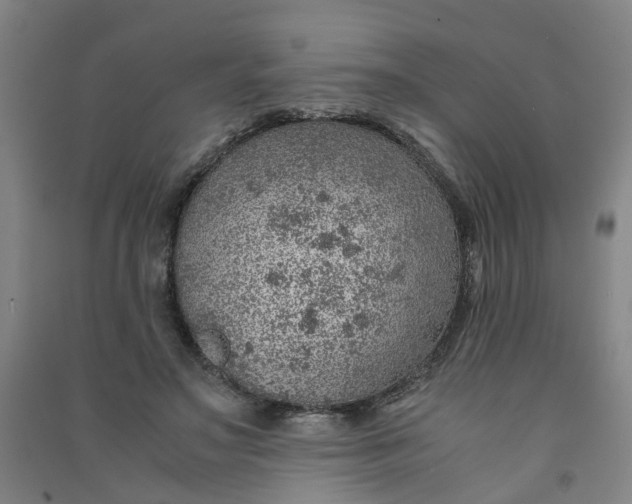 X0000090900499200708201721