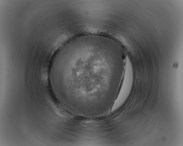 X0000090900500200708201721