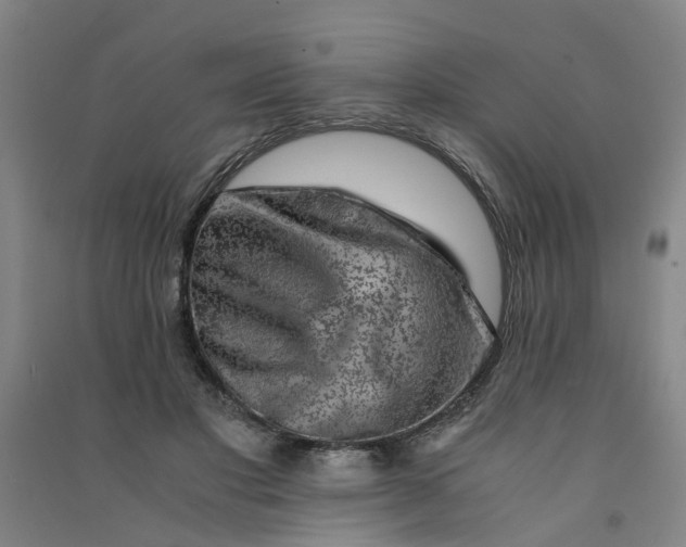 X0000090900501200708201721