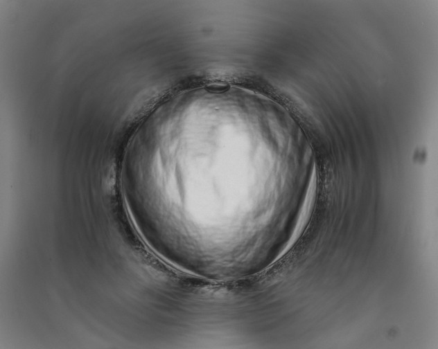 X0000090900502200708201721