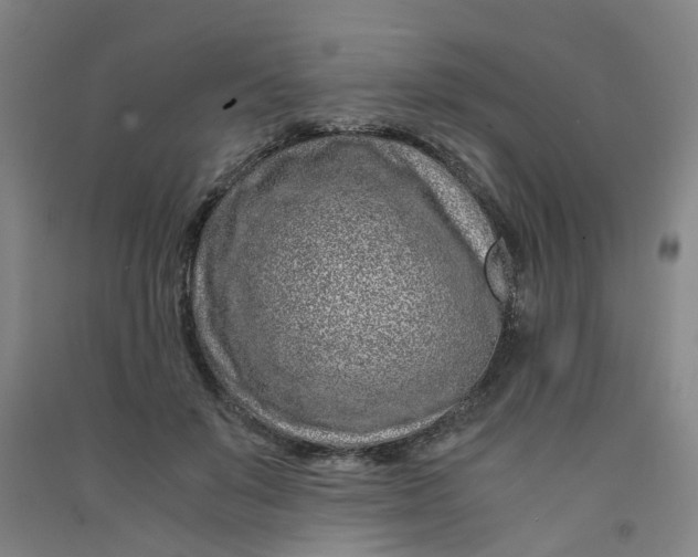 X0000090900503200708201721