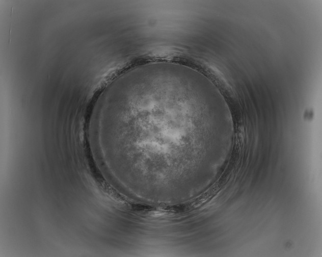 X0000090900504200708201721