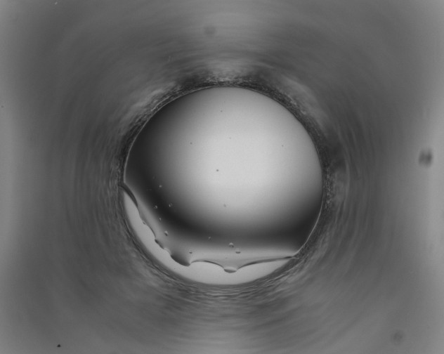 X0000090900505200708201721