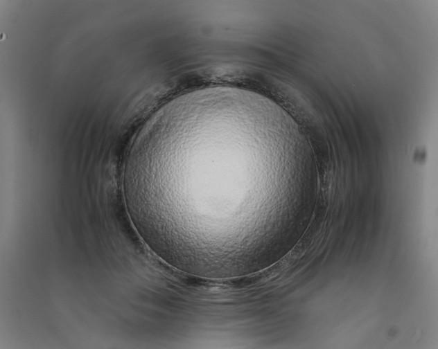 X0000090900506200708201721