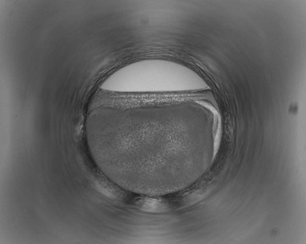 X0000090900507200708201721