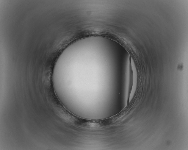 X0000090900509200708201721