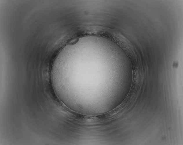 X0000090900510200708201721