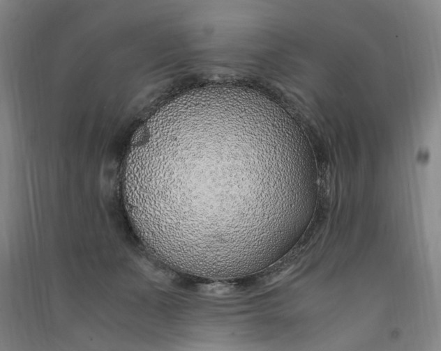 X0000090900511200708201721