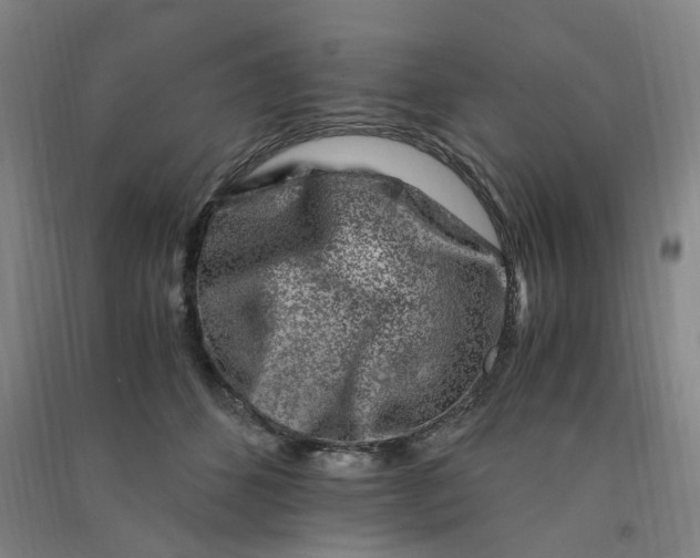 X0000090900512200708201721