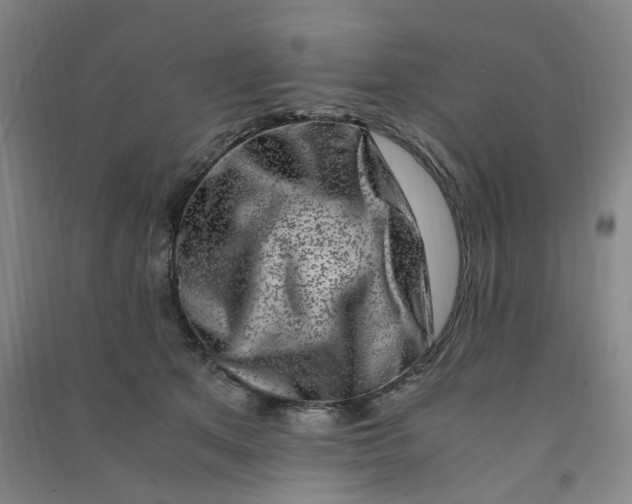 X0000090900513200708201721