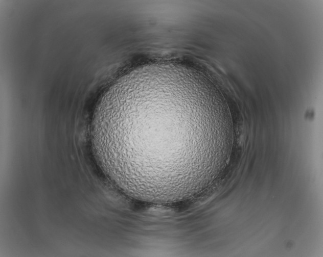 X0000090900515200708201721