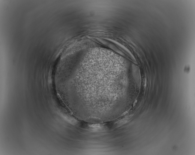 X0000090900516200708201721