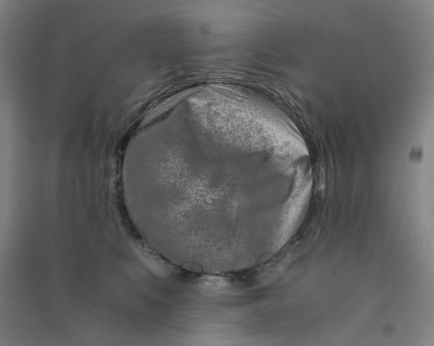 X0000090900519200708201721