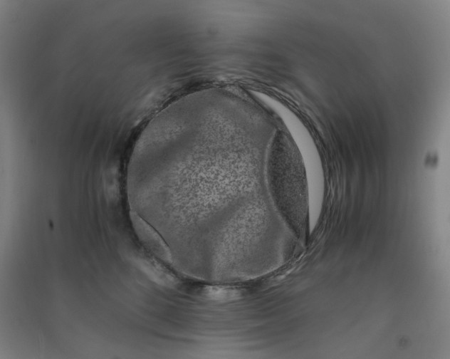 X0000090900520200708201721