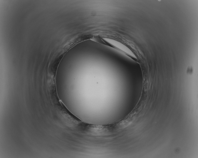 X0000090900521200708201721