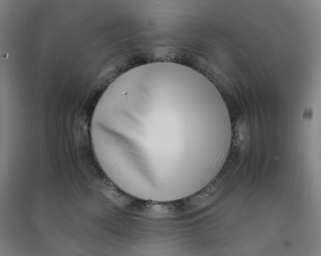 X0000090900522200708201721