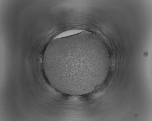 X0000090900523200708201721