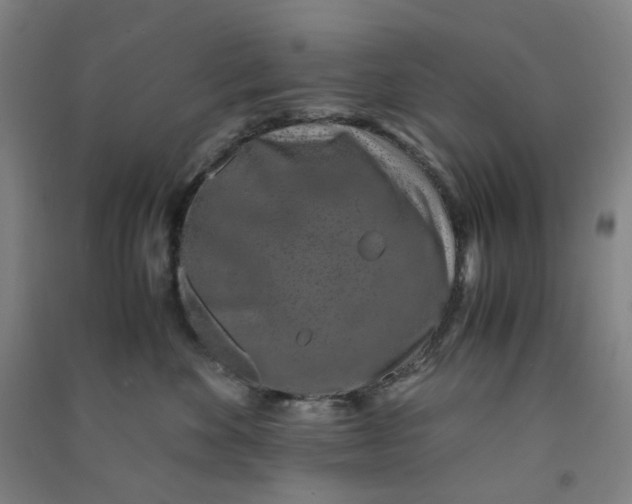 X0000090900524200708201721