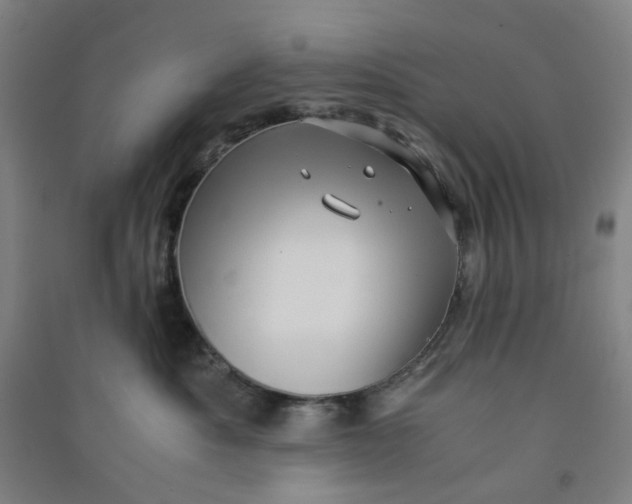 X0000090900525200708201721