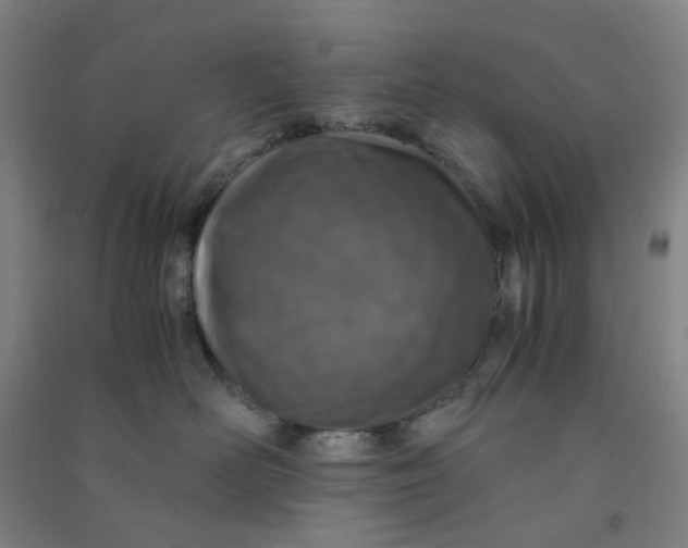 X0000090900526200708201721