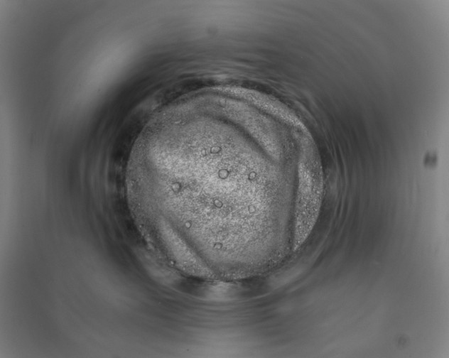 X0000090900527200708201721