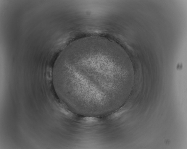 X0000090900528200708201721