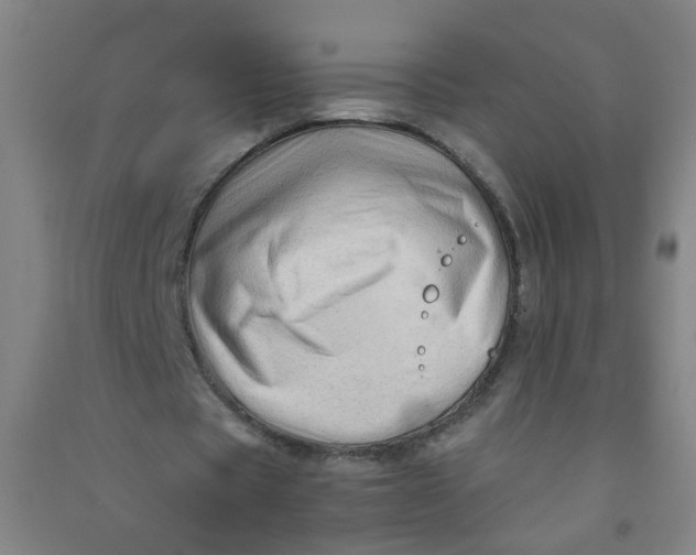 X0000090900529200708201720