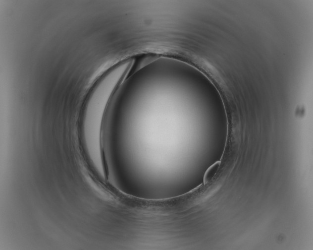 X0000090900530200708201720