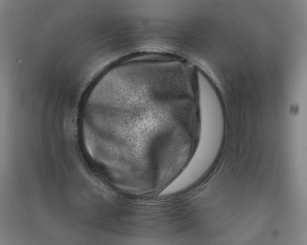 X0000090900531200708201720