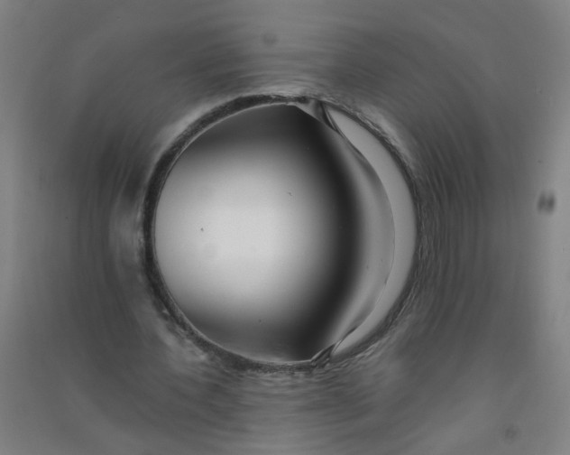 X0000090900532200708201720