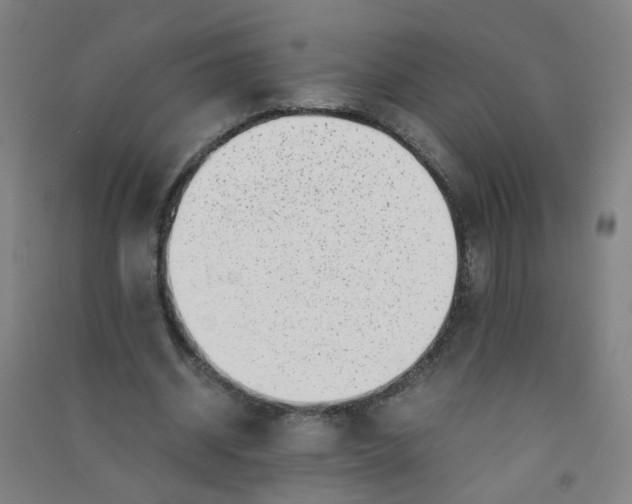 X0000090900534200708201720