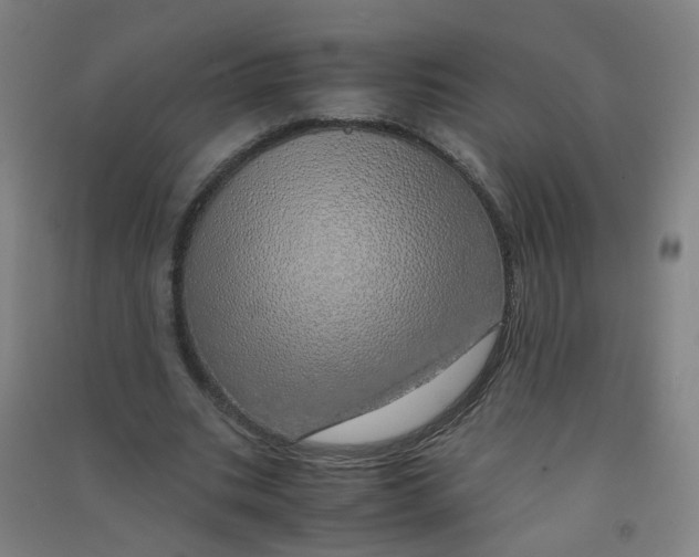 X0000090900535200708201720