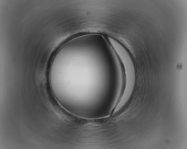 X0000090900536200708201720