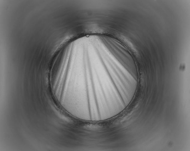 X0000090900537200708201720