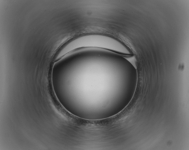 X0000090900538200708201720