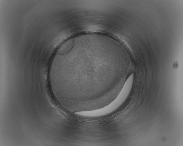 X0000090900539200708201720