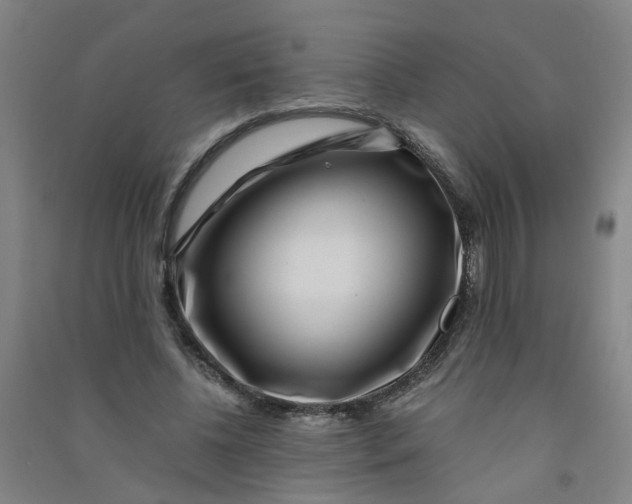 X0000090900540200708201720