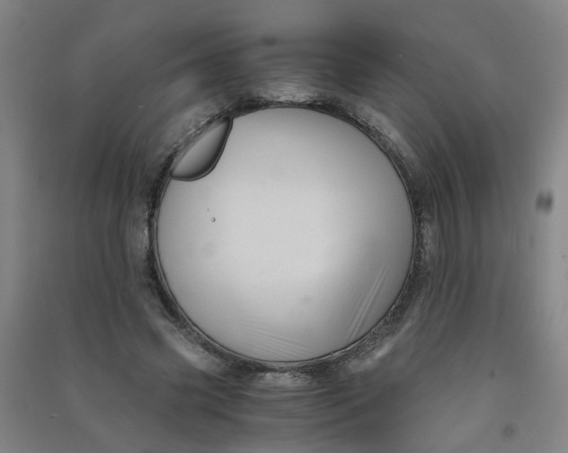 X0000090900541200708201720