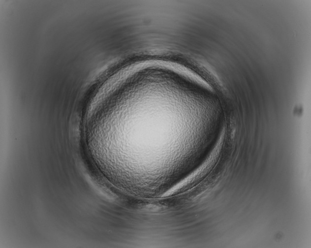 X0000090900542200708201720