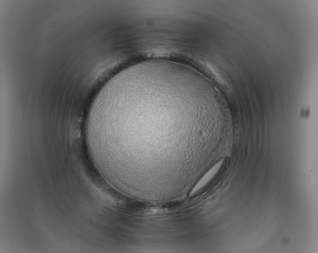 X0000090900543200708201720