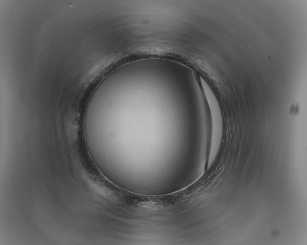 X0000090900544200708201720