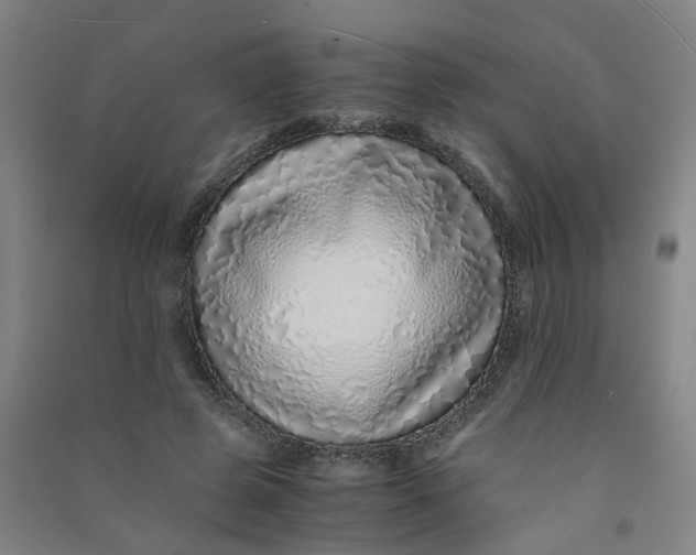 X0000090900545200708201720