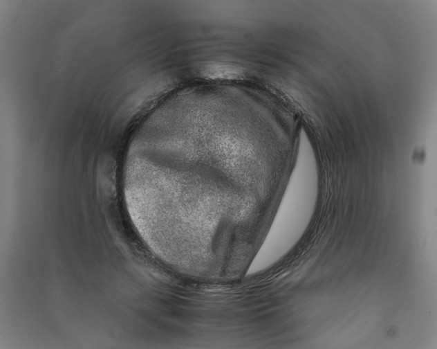 X0000090900547200708201720