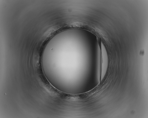 X0000090900548200708201720