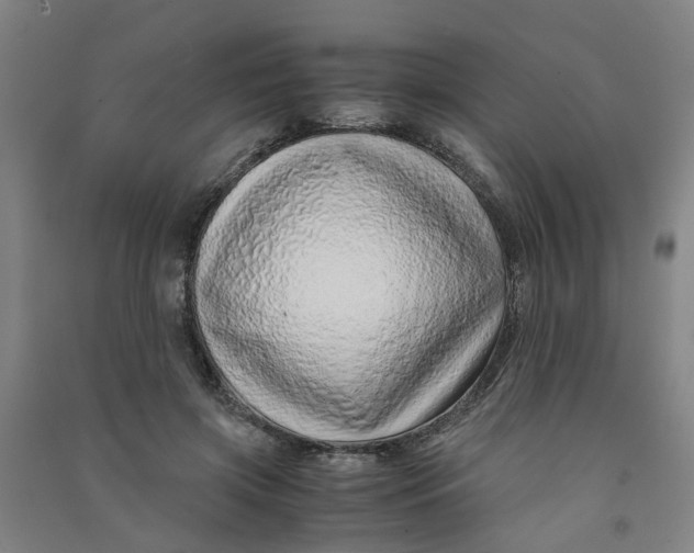 X0000090900549200708201720