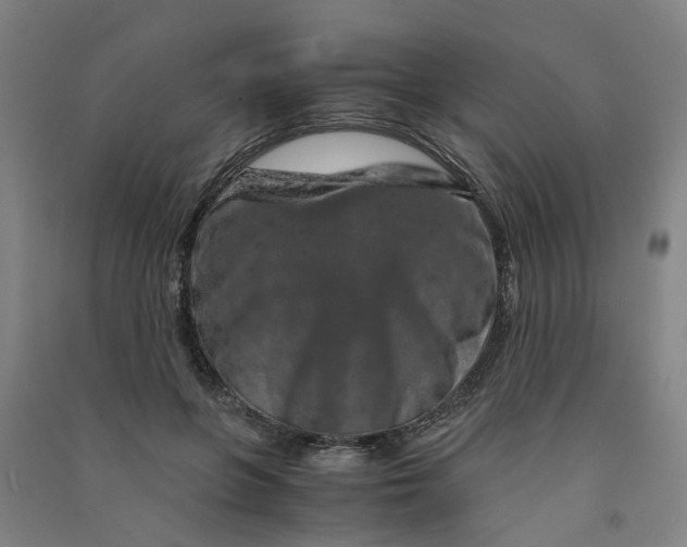 X0000090900551200708201720