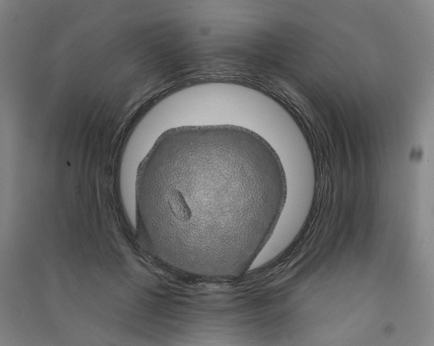 X0000090900552200708201720